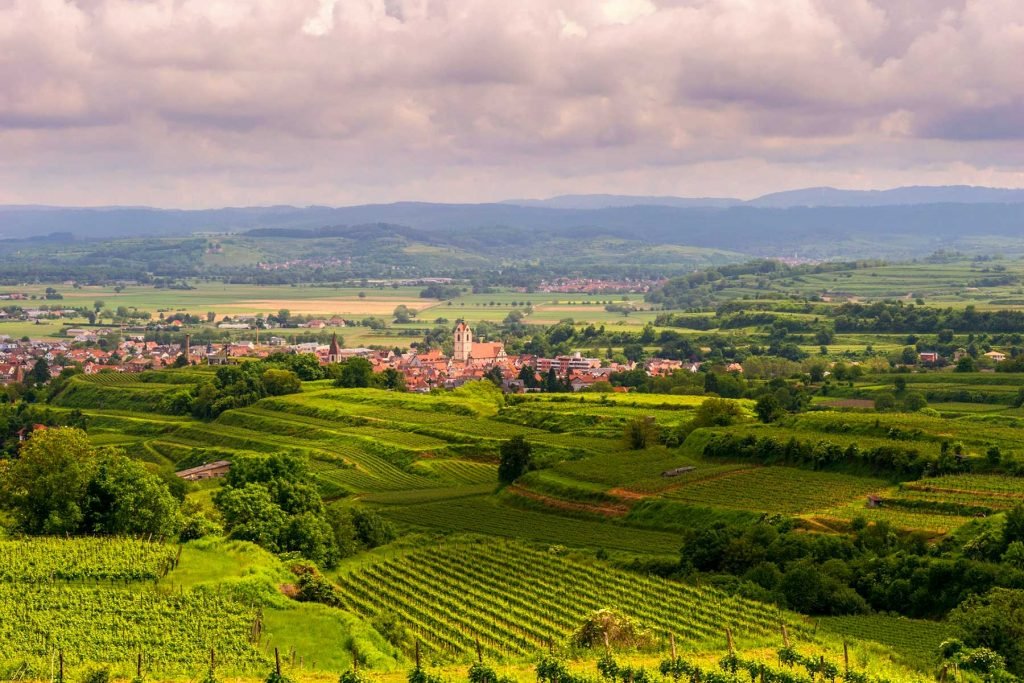 Reiseleitung Kaiserstuhl | Wine regions of Germany