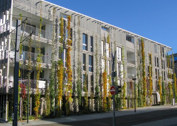 Stadtführung Vauban