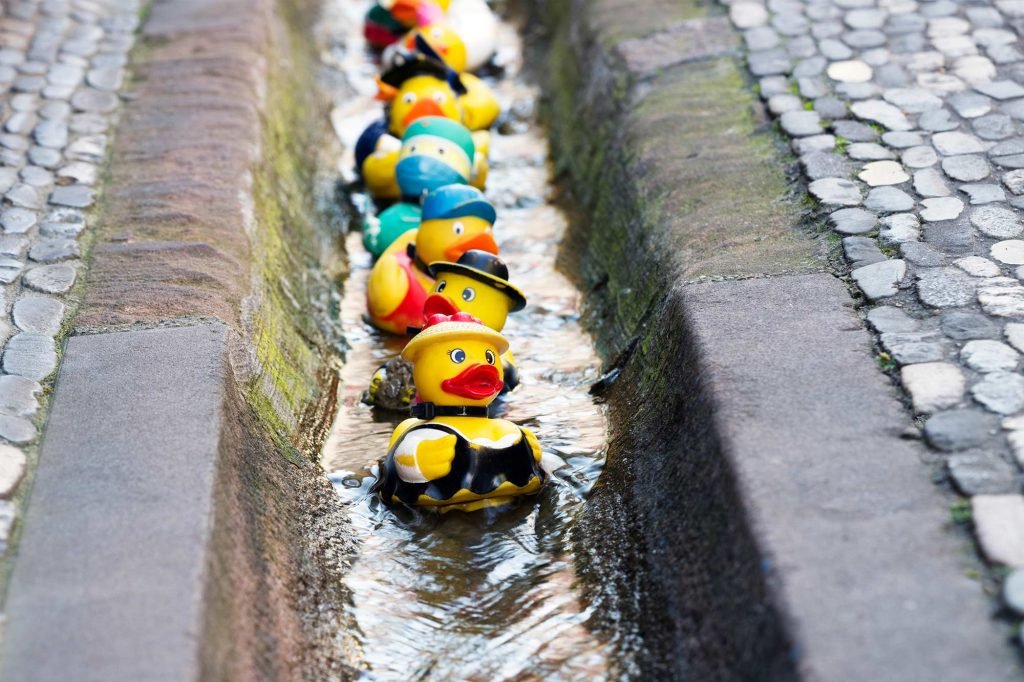 Stadtführung für Kinder Freiburg