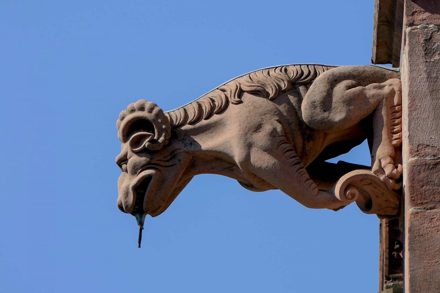 Freiburger Münster Führung