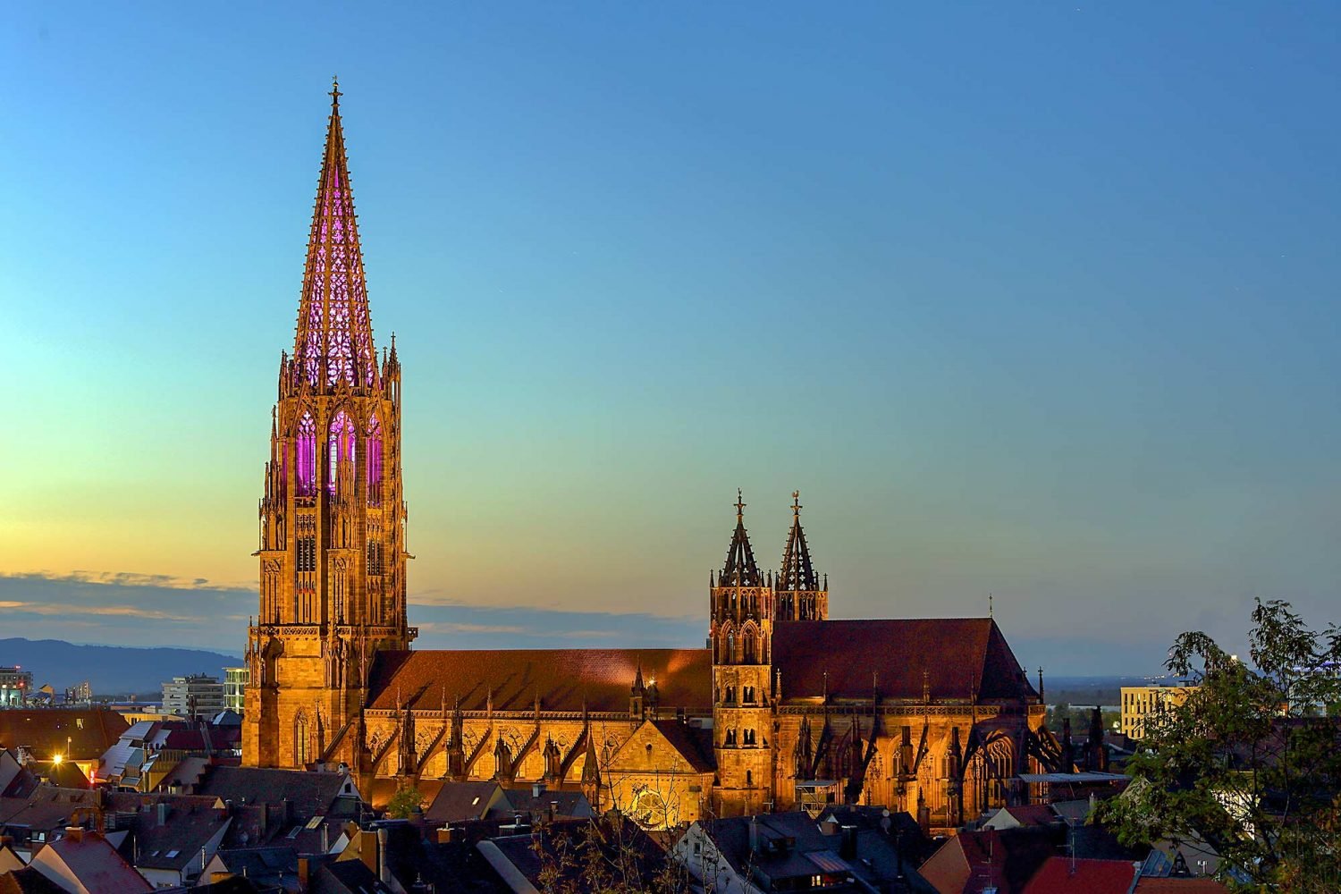 Freiburger Münster Führung