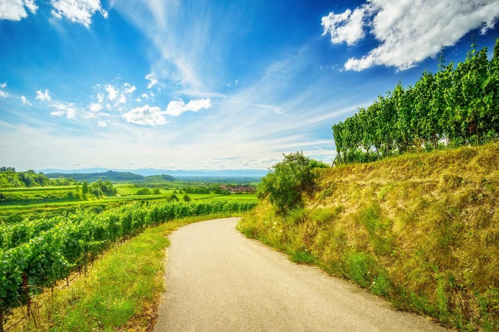 Kaiserstuhl-Radweg | Kaiserstuhl Bike Tour
