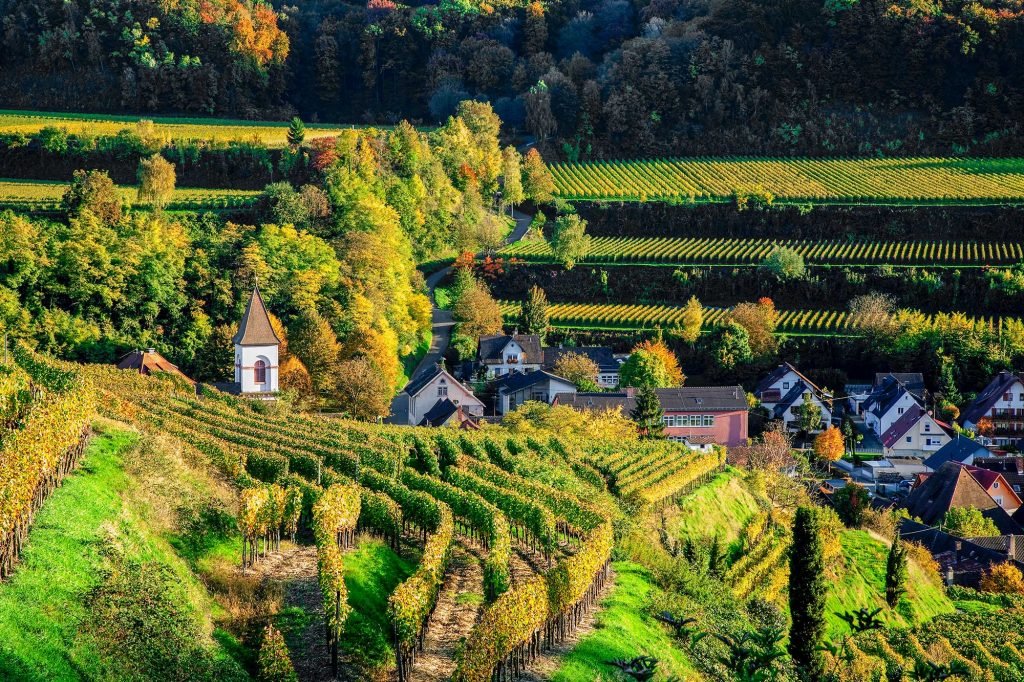 Kaiserstühler Weinbergführung