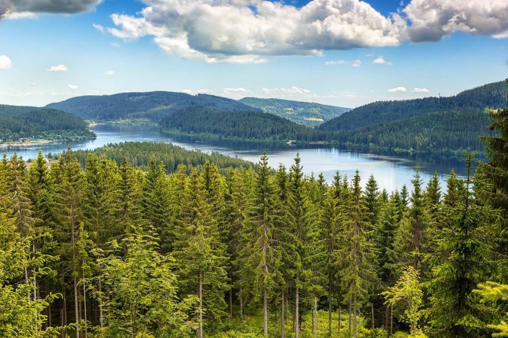 Eine Wanderung im Schwarzwald - A hike in the Black Forest