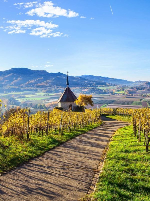 Markgräflerland Tours
