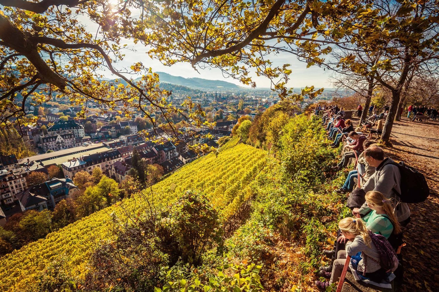 Schlossberg und Stadtgarten