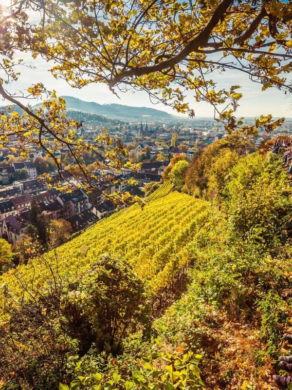 Schlossberg und Stadtgarten