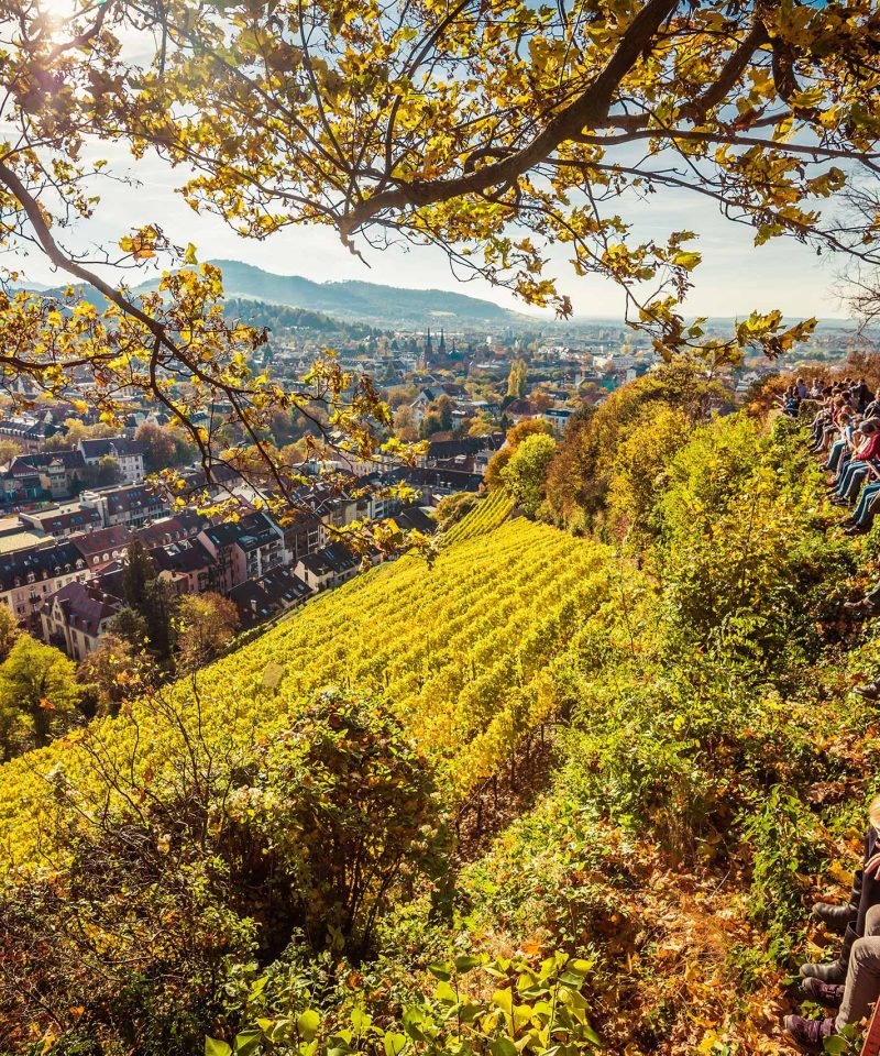 Schlossberg und Stadtgarten