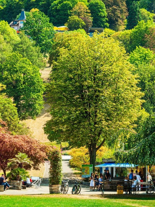 Schlossberg und Stadtgarten