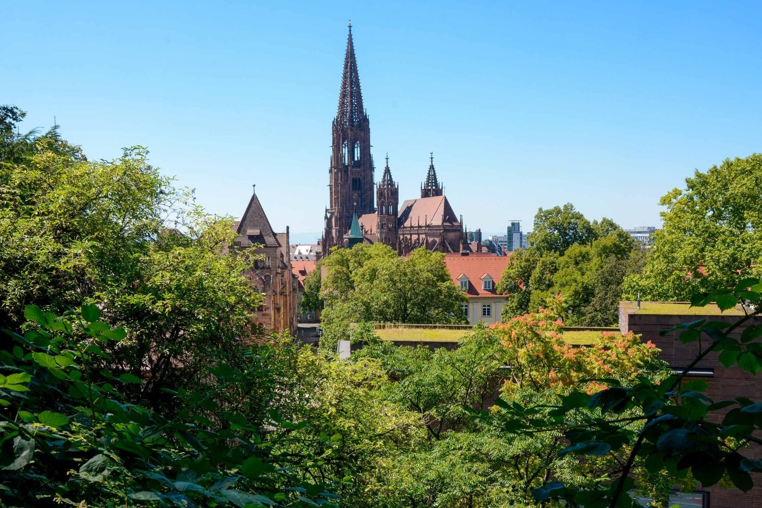 Schlossberg und Stadtgarten