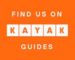 kayak logo partner KAYAK, Marktführer in der Reisebranche