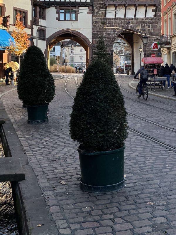 Bächle Oberlinden