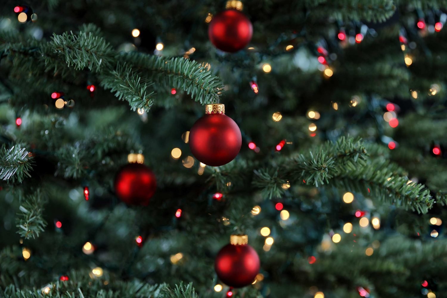 Weihnachtsbaum
