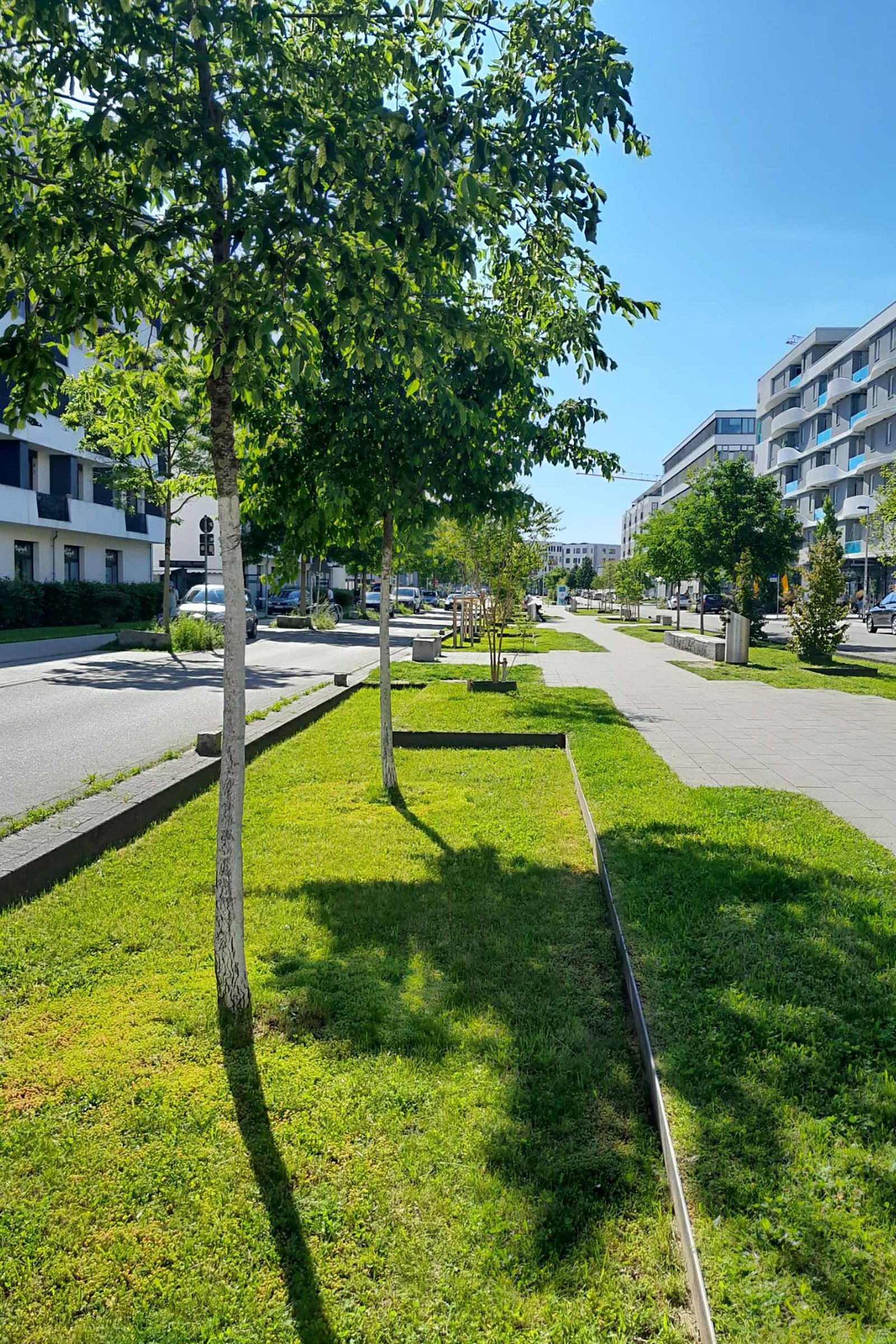 Freiburg Schwammstadt - Freiburg - Green City